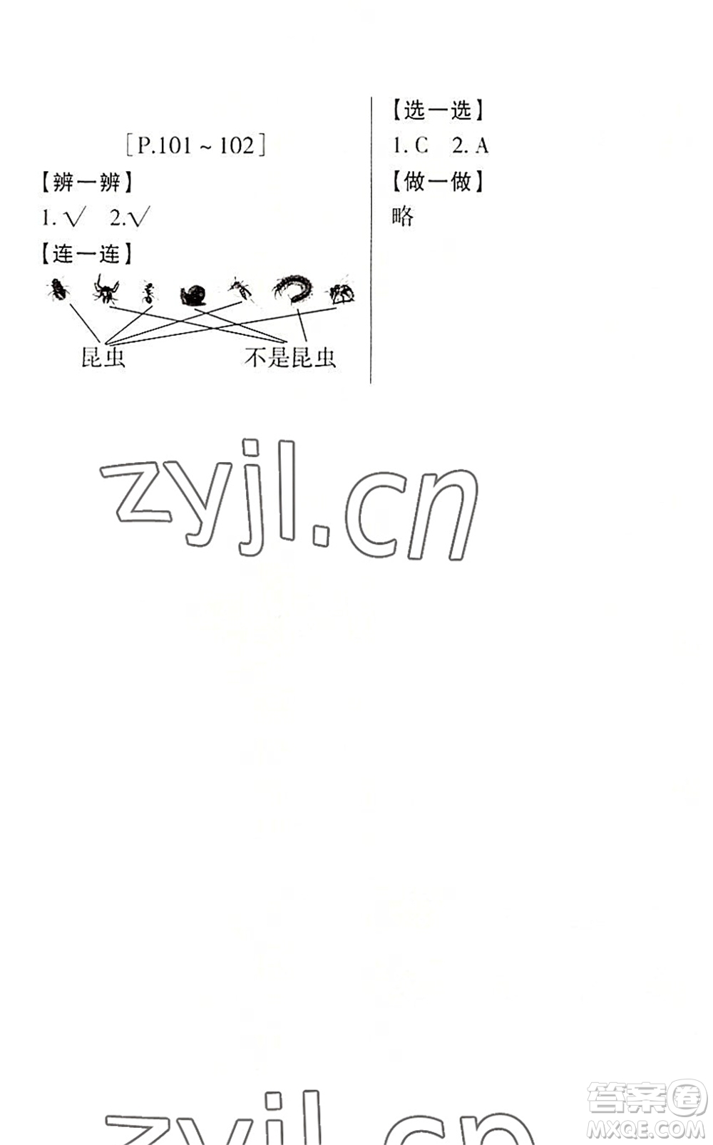 浙江少年兒童出版社2022暑假學(xué)與練三年級數(shù)學(xué)R人教版科學(xué)J教科版答案