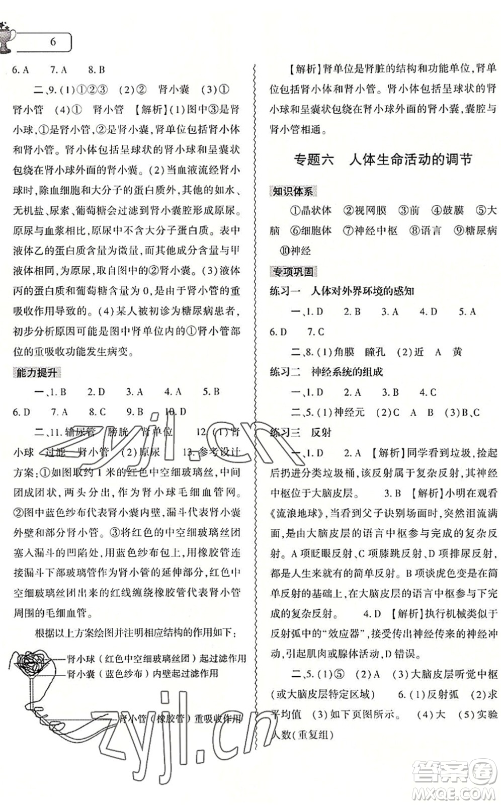 大象出版社2022生物暑假作業(yè)本七年級(jí)人教版答案