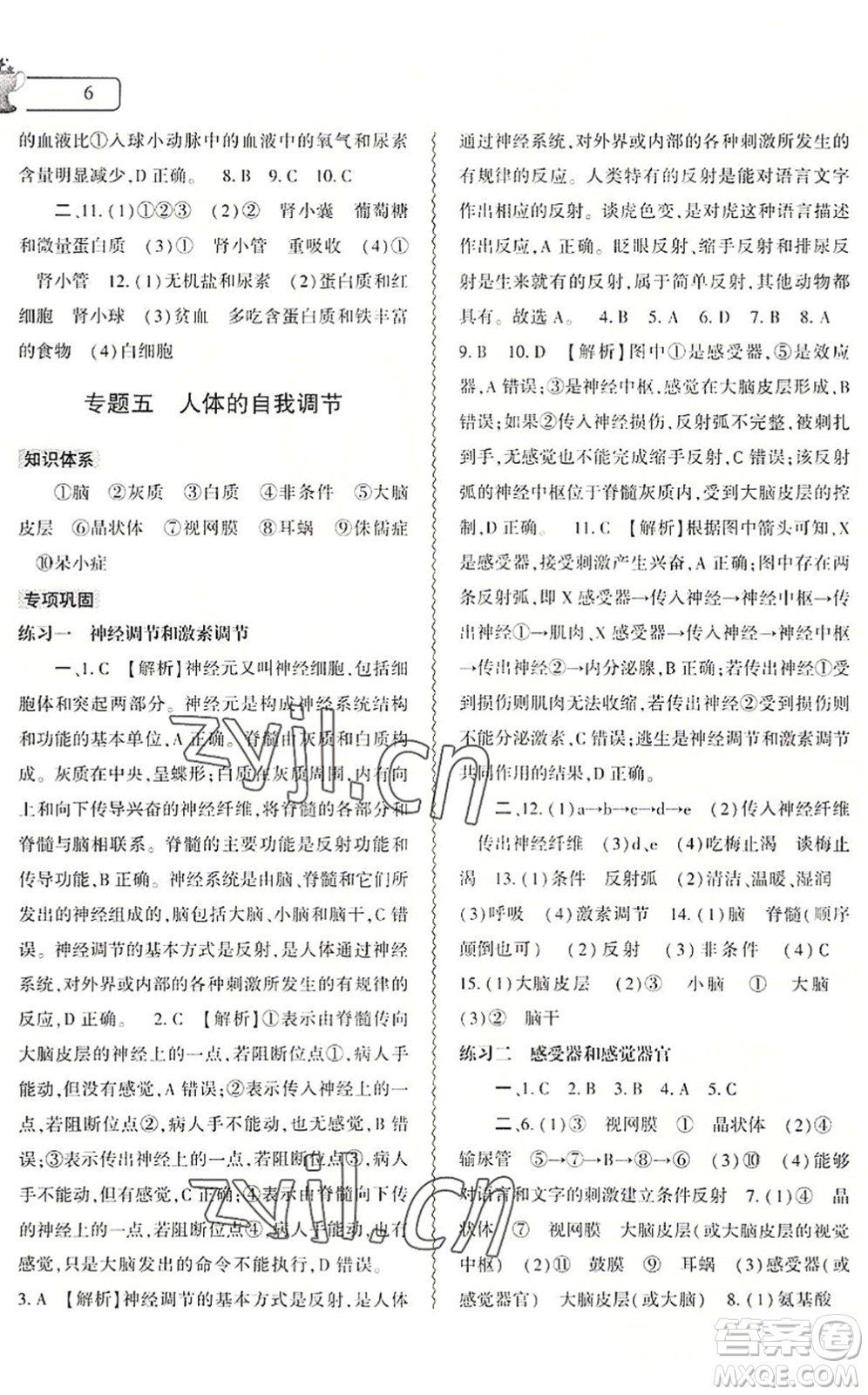 大象出版社2022生物暑假作業(yè)本七年級(jí)北師大版答案