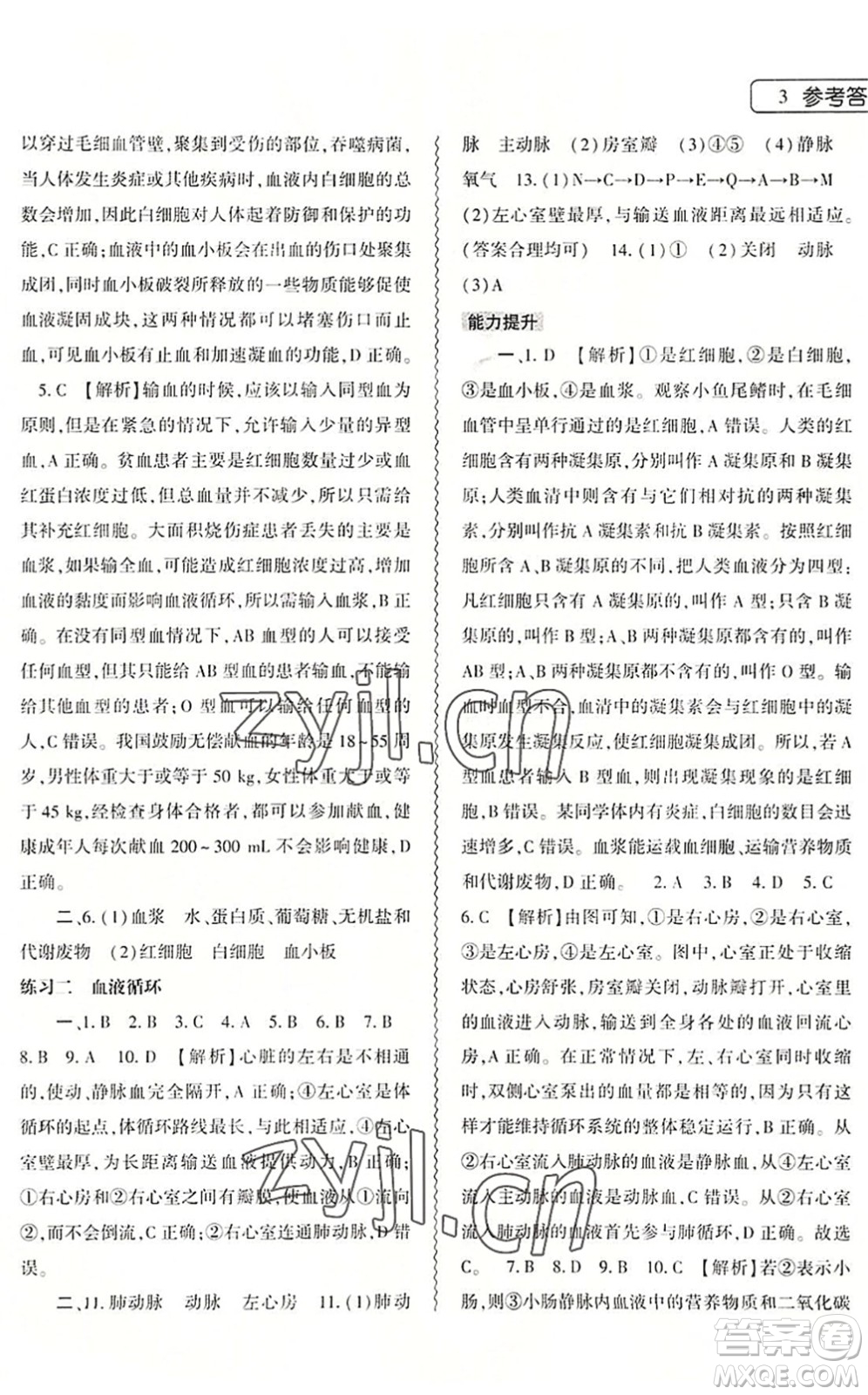 大象出版社2022生物暑假作業(yè)本七年級(jí)北師大版答案