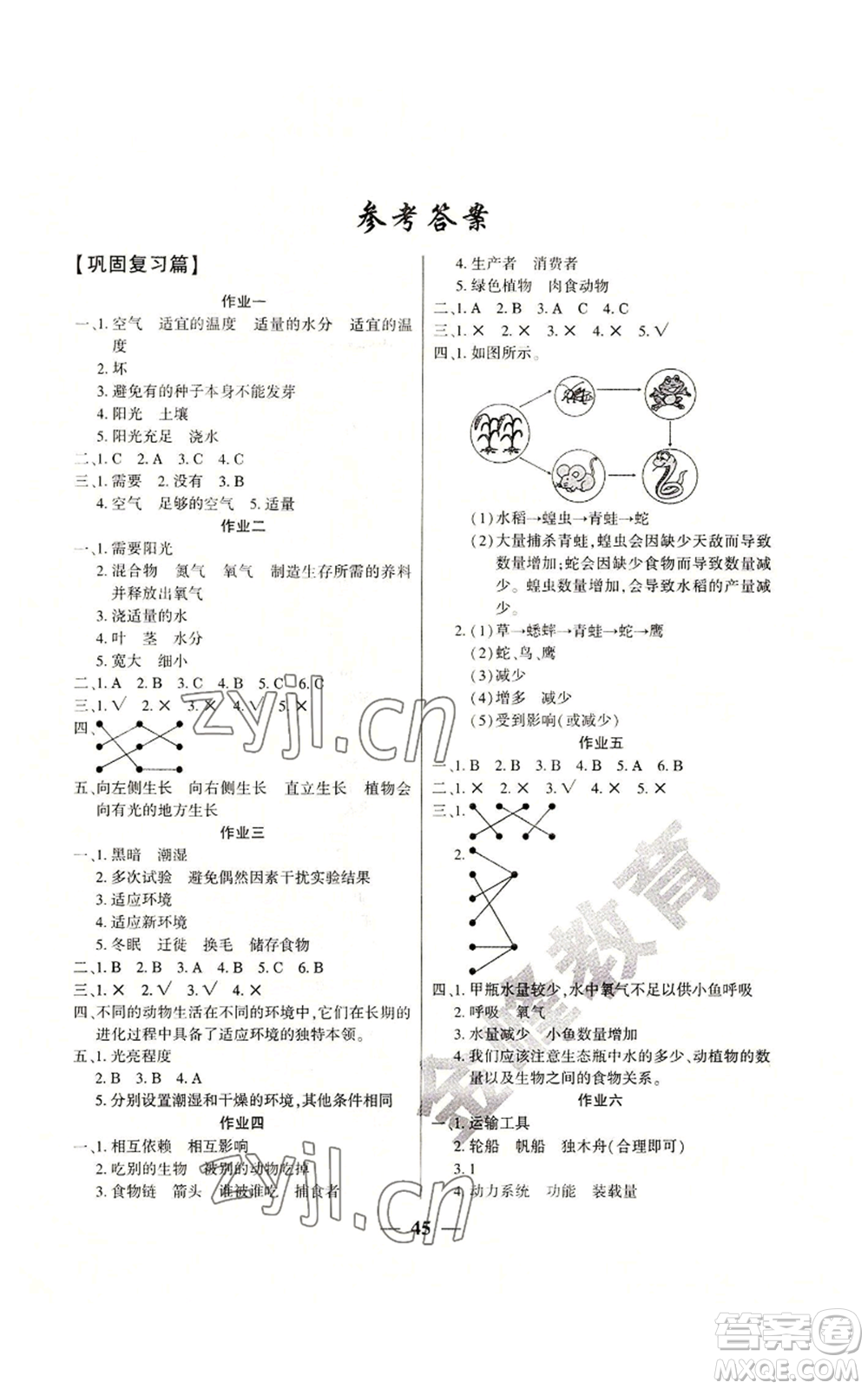 新疆文化出版社2022開心暑假作業(yè)五年級(jí)科學(xué)教科版參考答案