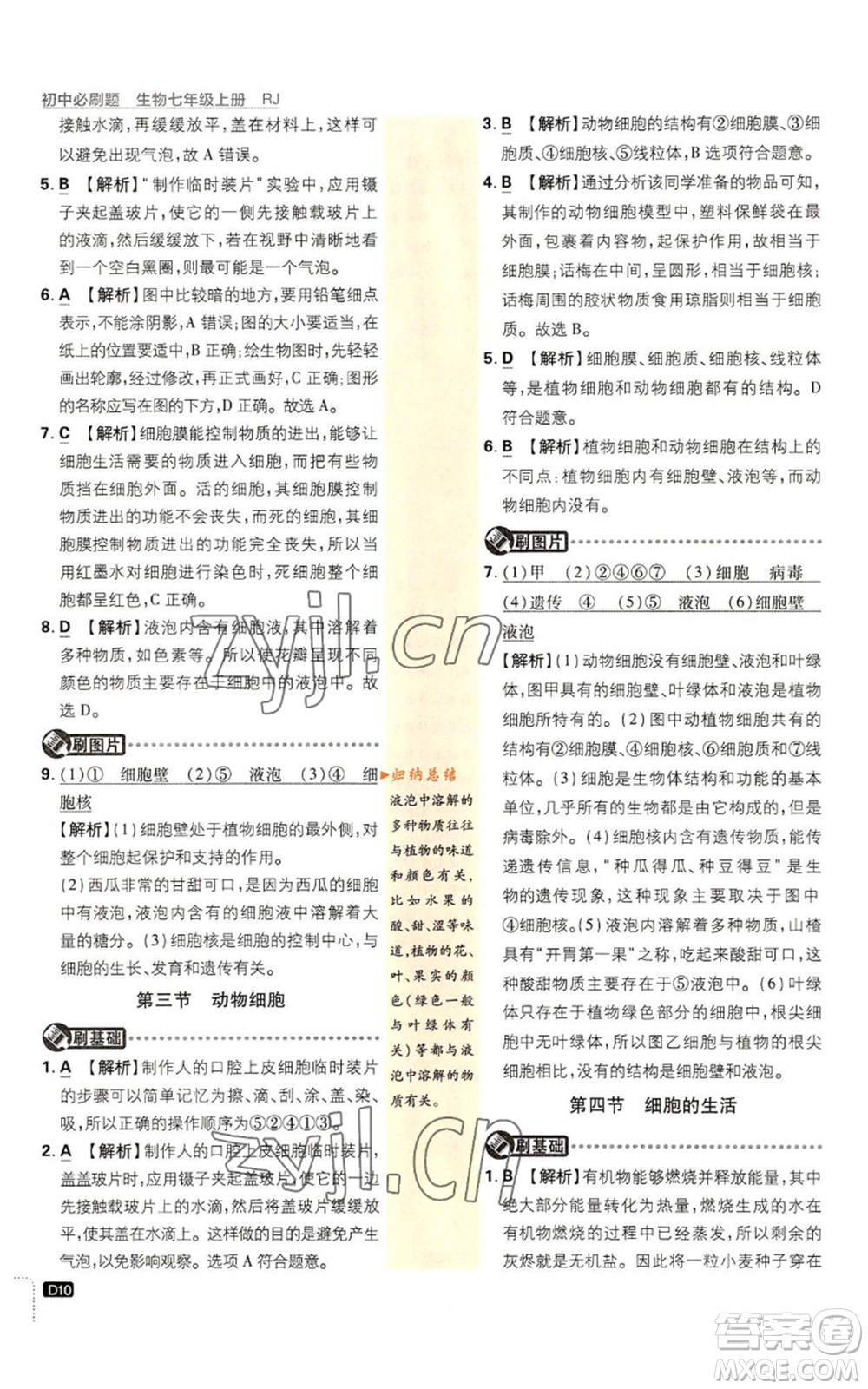 開明出版社2023初中必刷題七年級上冊生物人教版參考答案