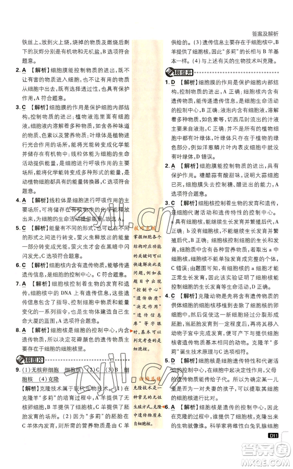 開明出版社2023初中必刷題七年級上冊生物人教版參考答案