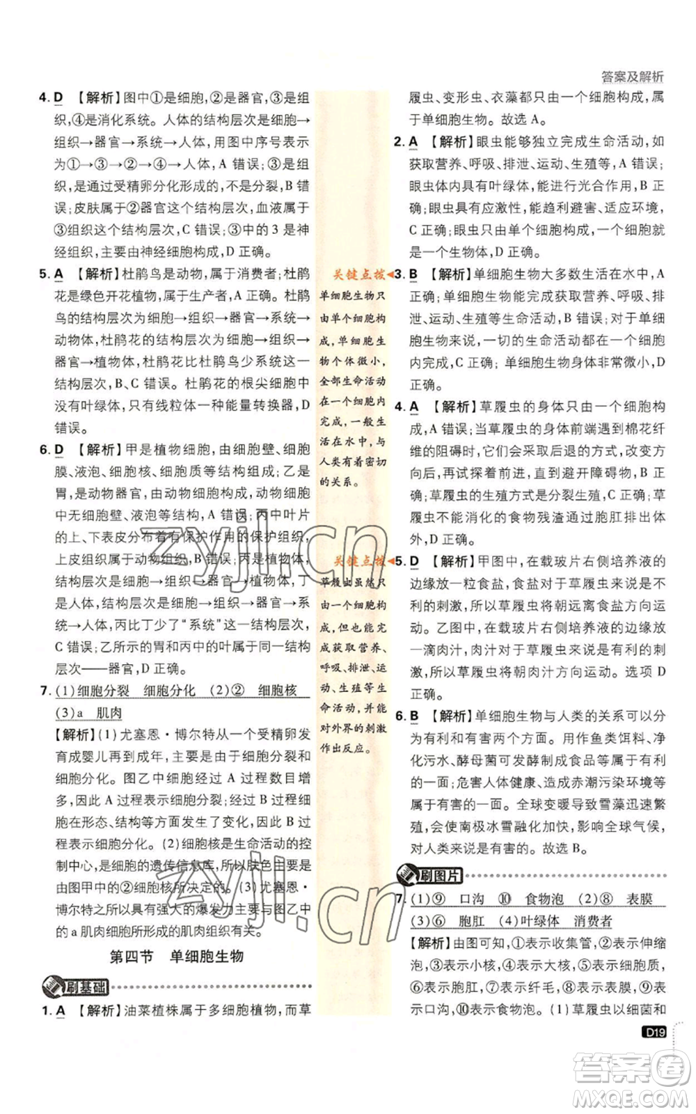 開明出版社2023初中必刷題七年級上冊生物人教版參考答案