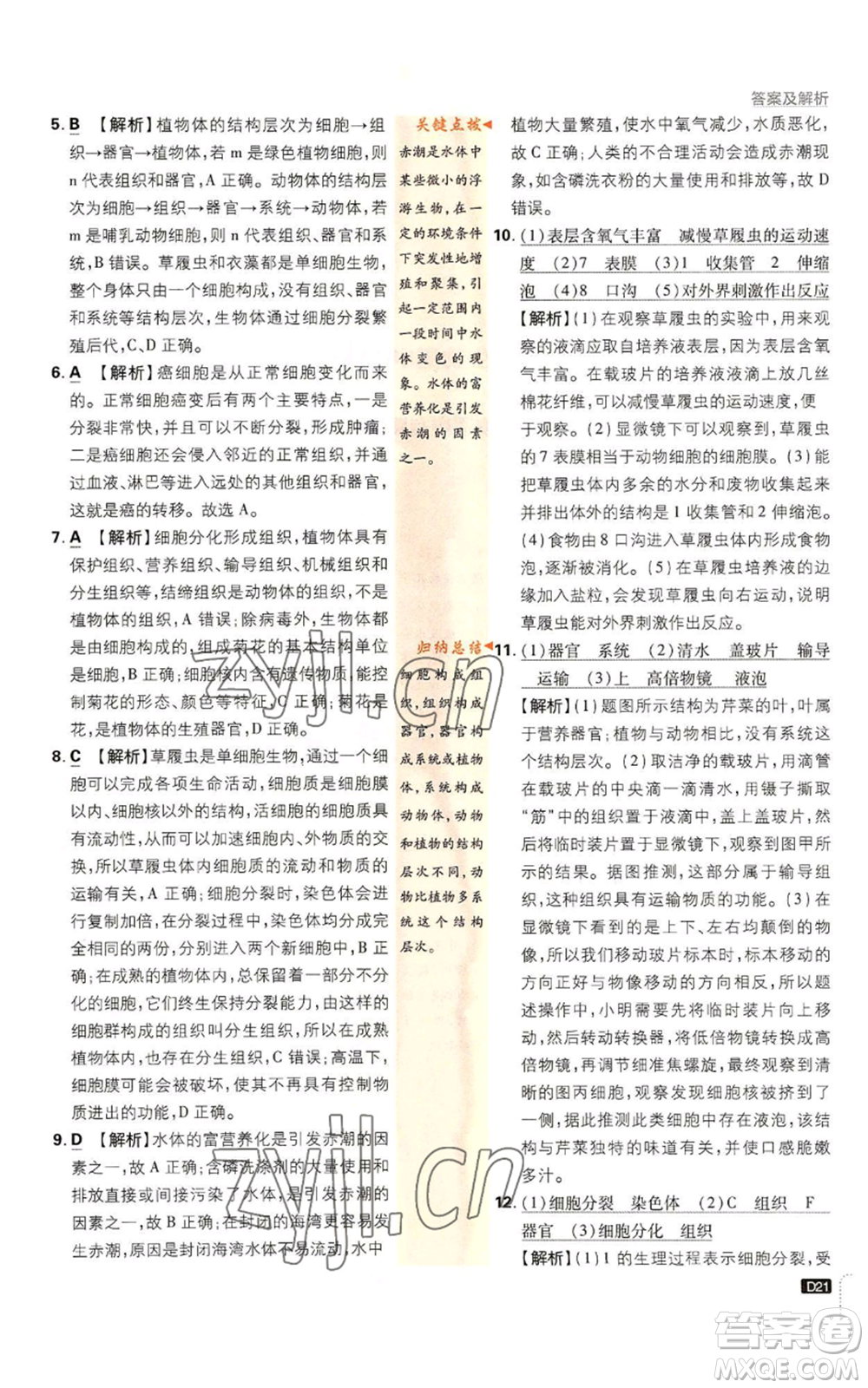 開明出版社2023初中必刷題七年級上冊生物人教版參考答案