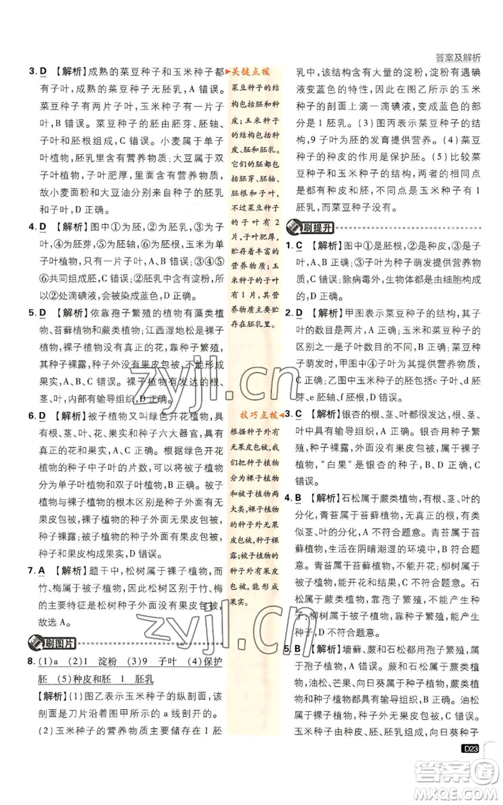 開明出版社2023初中必刷題七年級上冊生物人教版參考答案