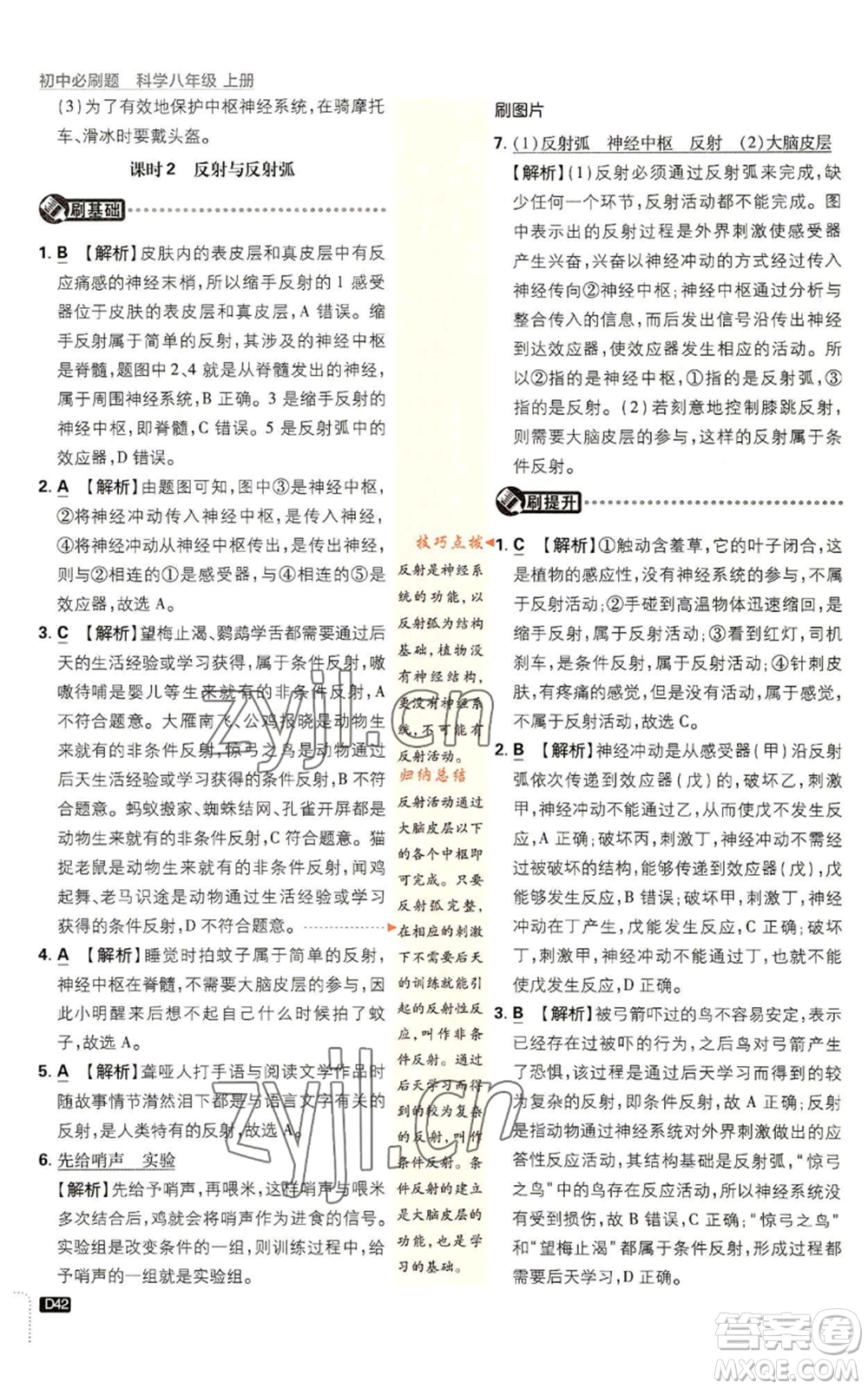 新世界出版社2023初中必刷題八年級(jí)上冊(cè)科學(xué)浙教版浙江專版參考答案