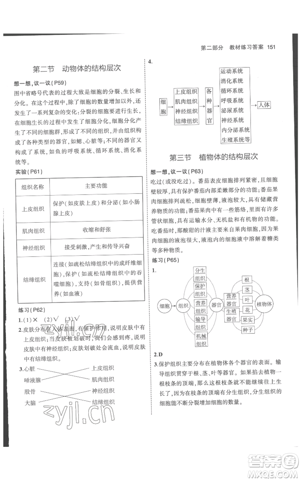 教育科學(xué)出版社2023年5年中考3年模擬七年級(jí)上冊(cè)生物人教版參考答案