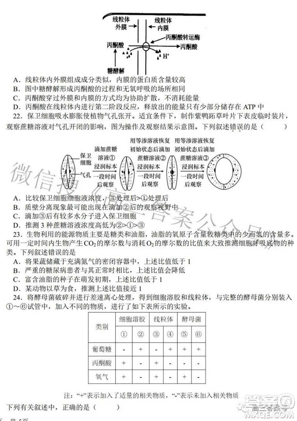 鄭州四中2022-2023學(xué)年高三上學(xué)期第一次調(diào)研考試化學(xué)試題及答案