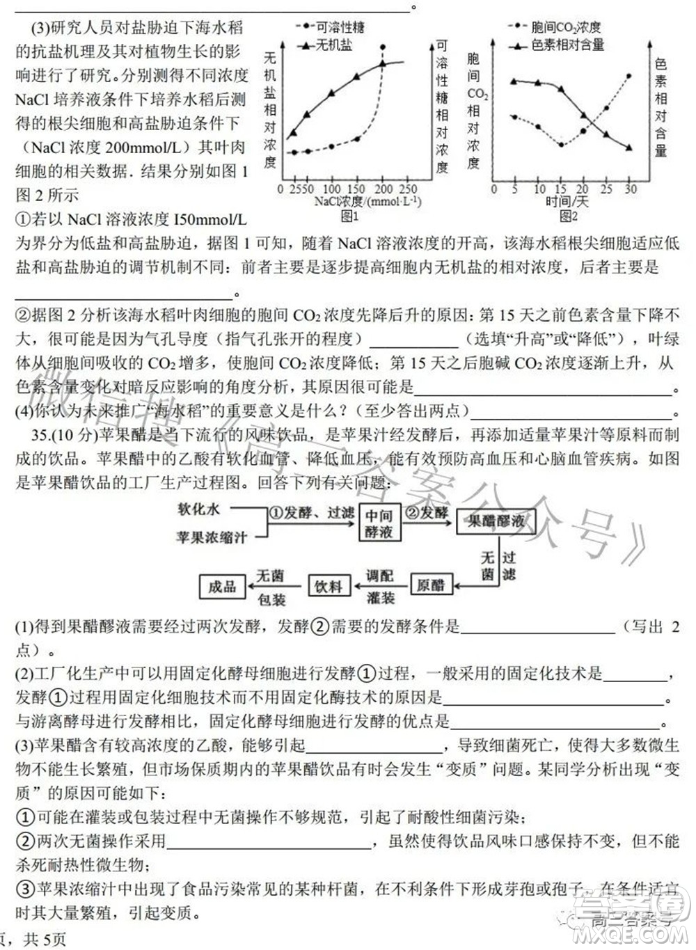 鄭州四中2022-2023學(xué)年高三上學(xué)期第一次調(diào)研考試化學(xué)試題及答案