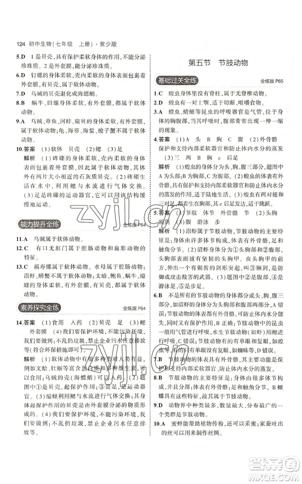 教育科學(xué)出版社2023年5年中考3年模擬七年級上冊生物冀少版參考答案