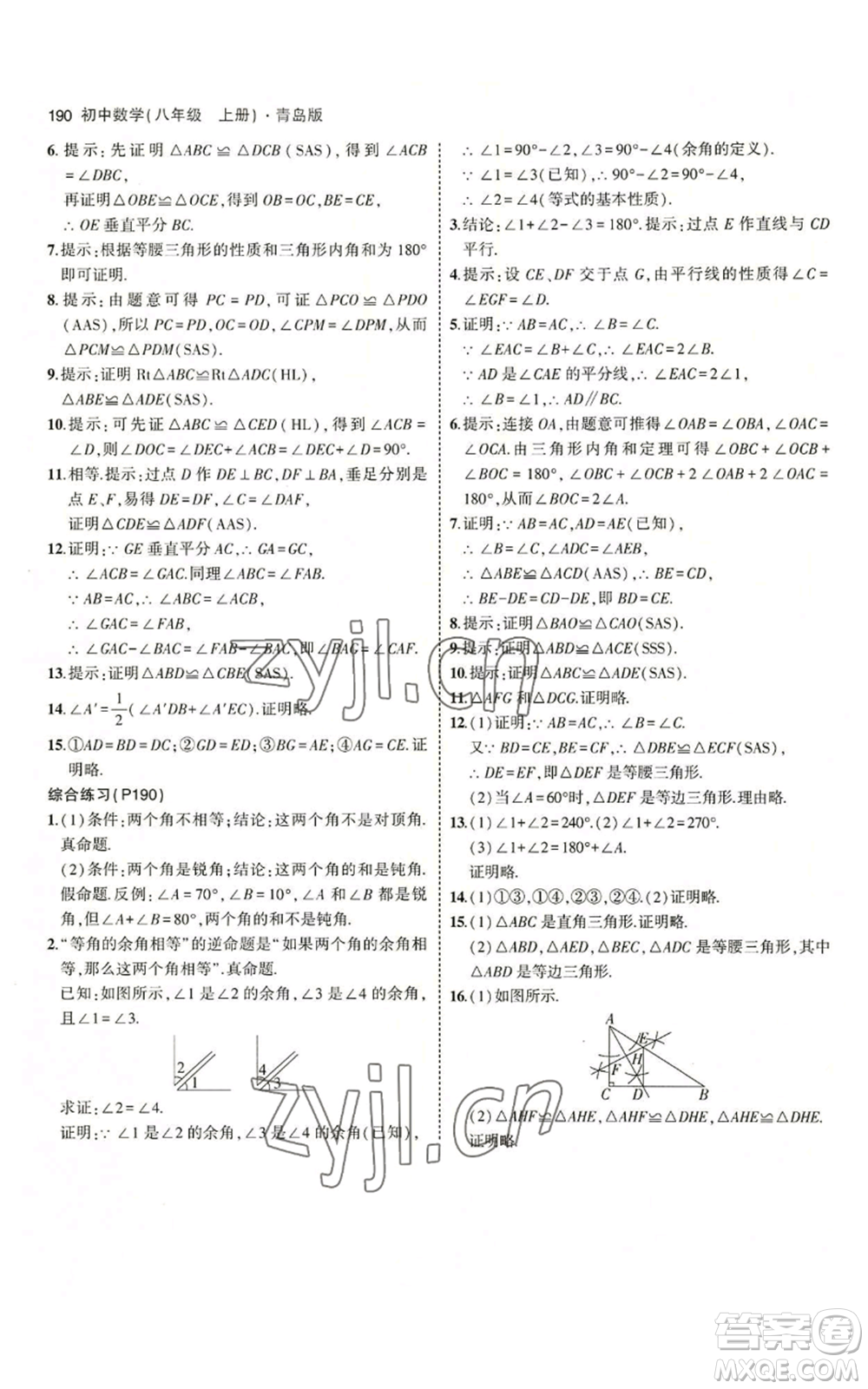 首都師范大學出版社2023年5年中考3年模擬八年級上冊數學青島版參考答案