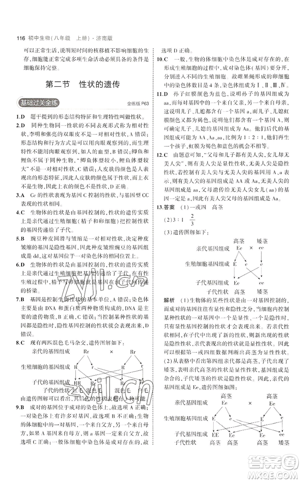 教育科學(xué)出版社2023年5年中考3年模擬八年級(jí)上冊(cè)生物濟(jì)南版參考答案