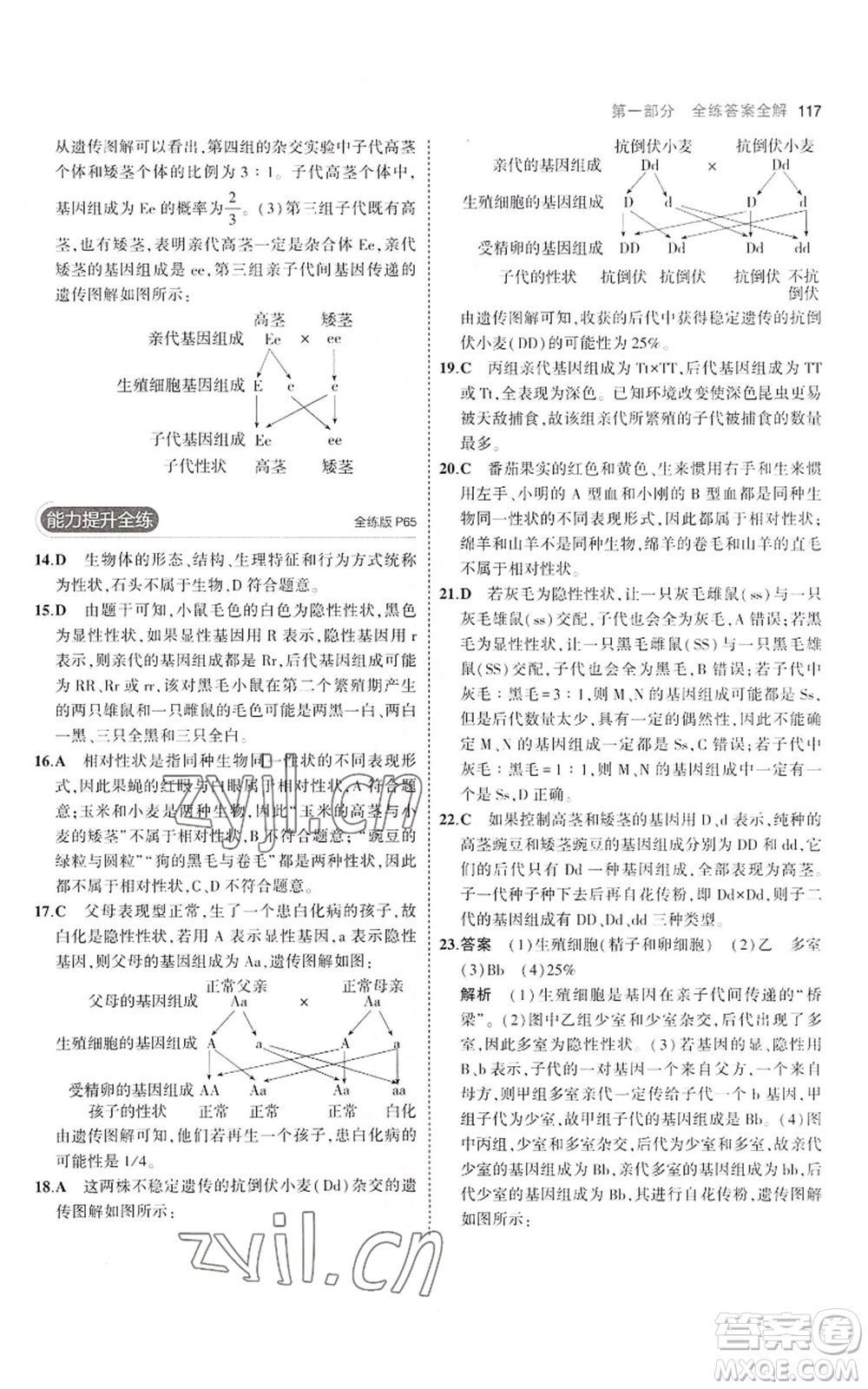 教育科學(xué)出版社2023年5年中考3年模擬八年級(jí)上冊(cè)生物濟(jì)南版參考答案