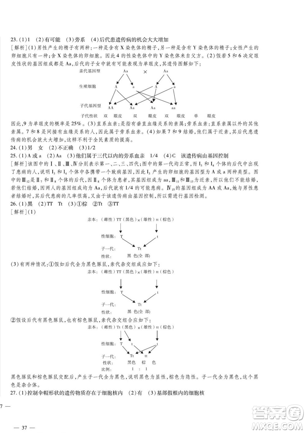 河北大學(xué)出版社2022黃岡全優(yōu)AB卷生物八年級(jí)上冊(cè)濟(jì)南版答案