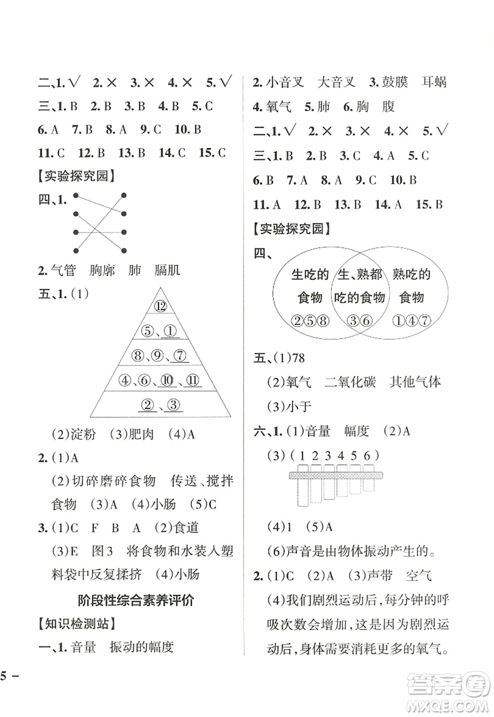 陜西師范大學(xué)出版總社2022PASS小學(xué)學(xué)霸作業(yè)本四年級科學(xué)上冊JK教科版答案