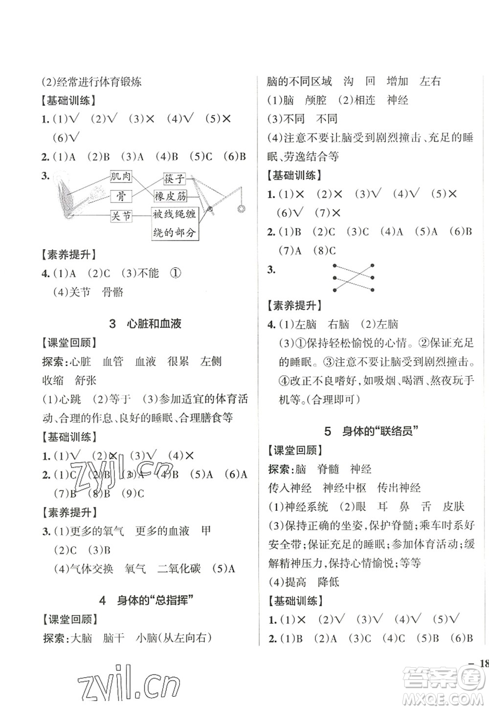 陜西師范大學(xué)出版總社2022PASS小學(xué)學(xué)霸作業(yè)本五年級科學(xué)上冊JK教科版答案