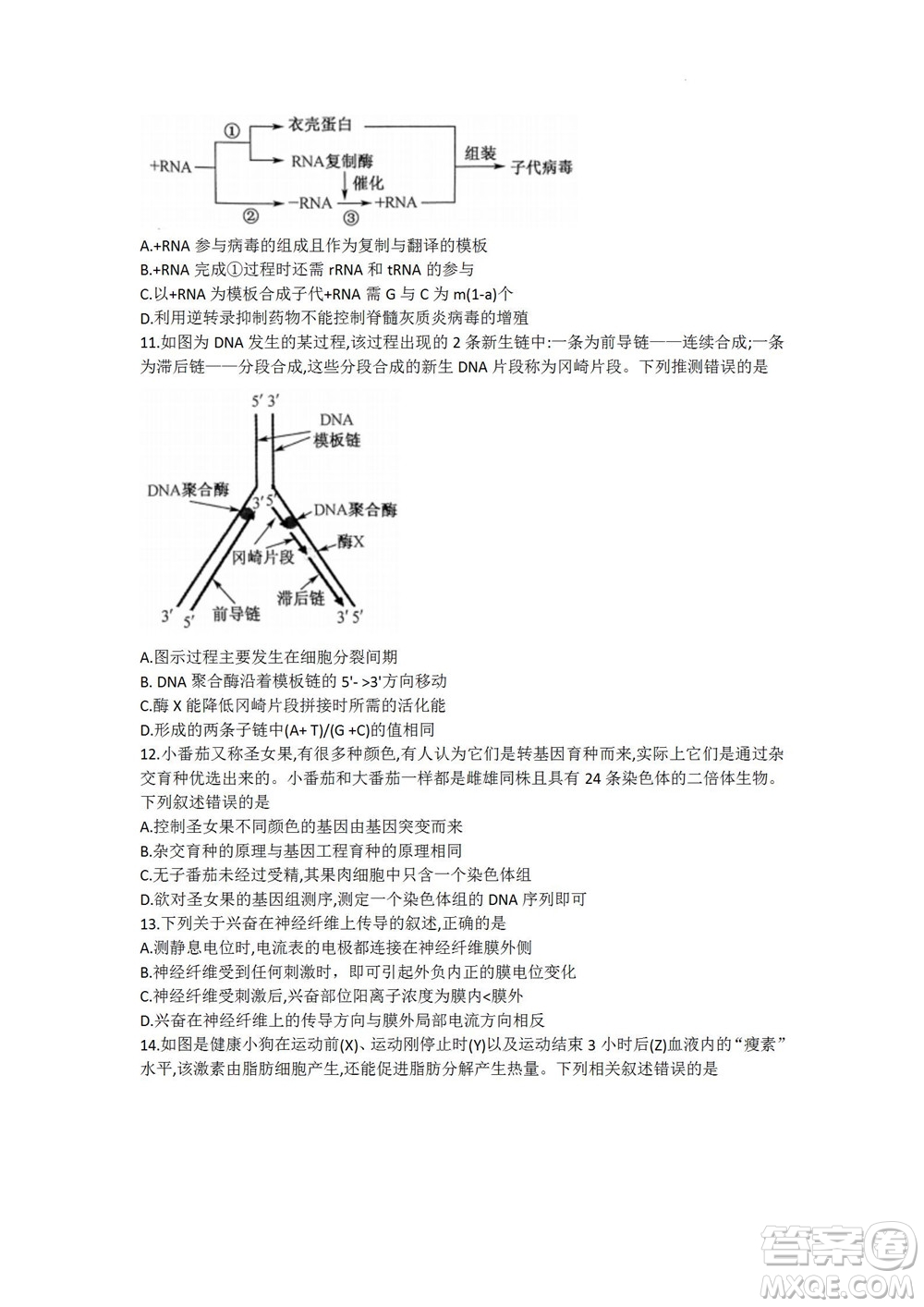 2023屆九師聯(lián)盟老高考高三摸底聯(lián)考生物試題及答案