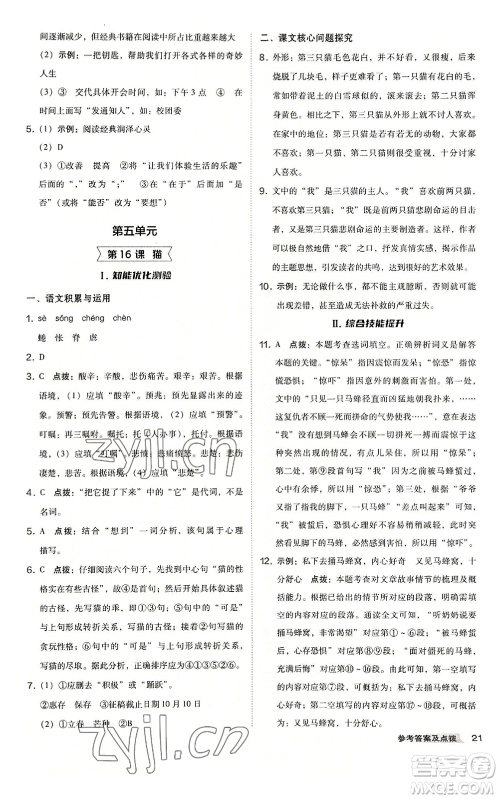 吉林教育出版社2022秋季綜合應(yīng)用創(chuàng)新題典中點(diǎn)提分練習(xí)冊七年級上冊語文人教版安徽專版參考答案