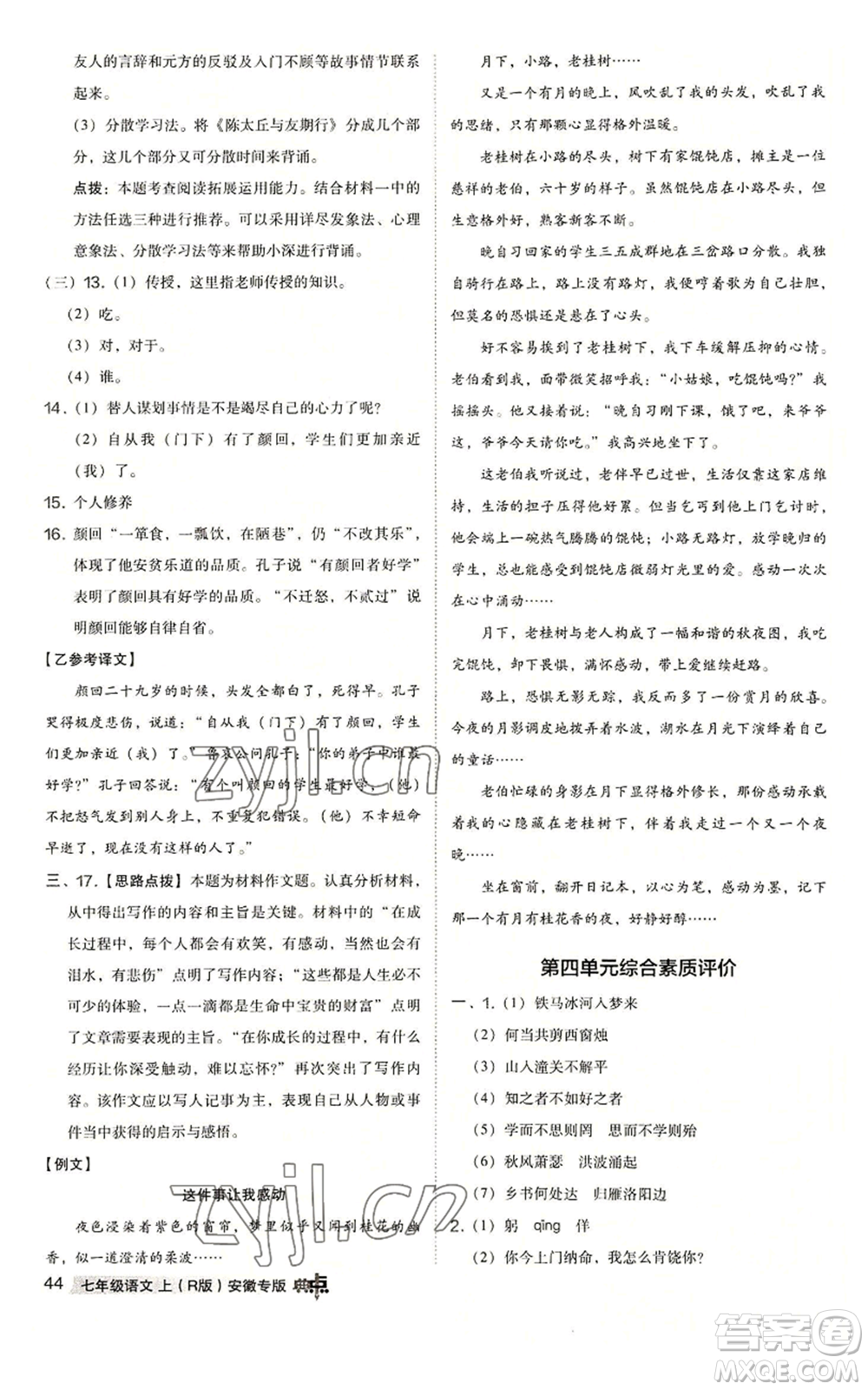 吉林教育出版社2022秋季綜合應(yīng)用創(chuàng)新題典中點(diǎn)提分練習(xí)冊七年級上冊語文人教版安徽專版參考答案