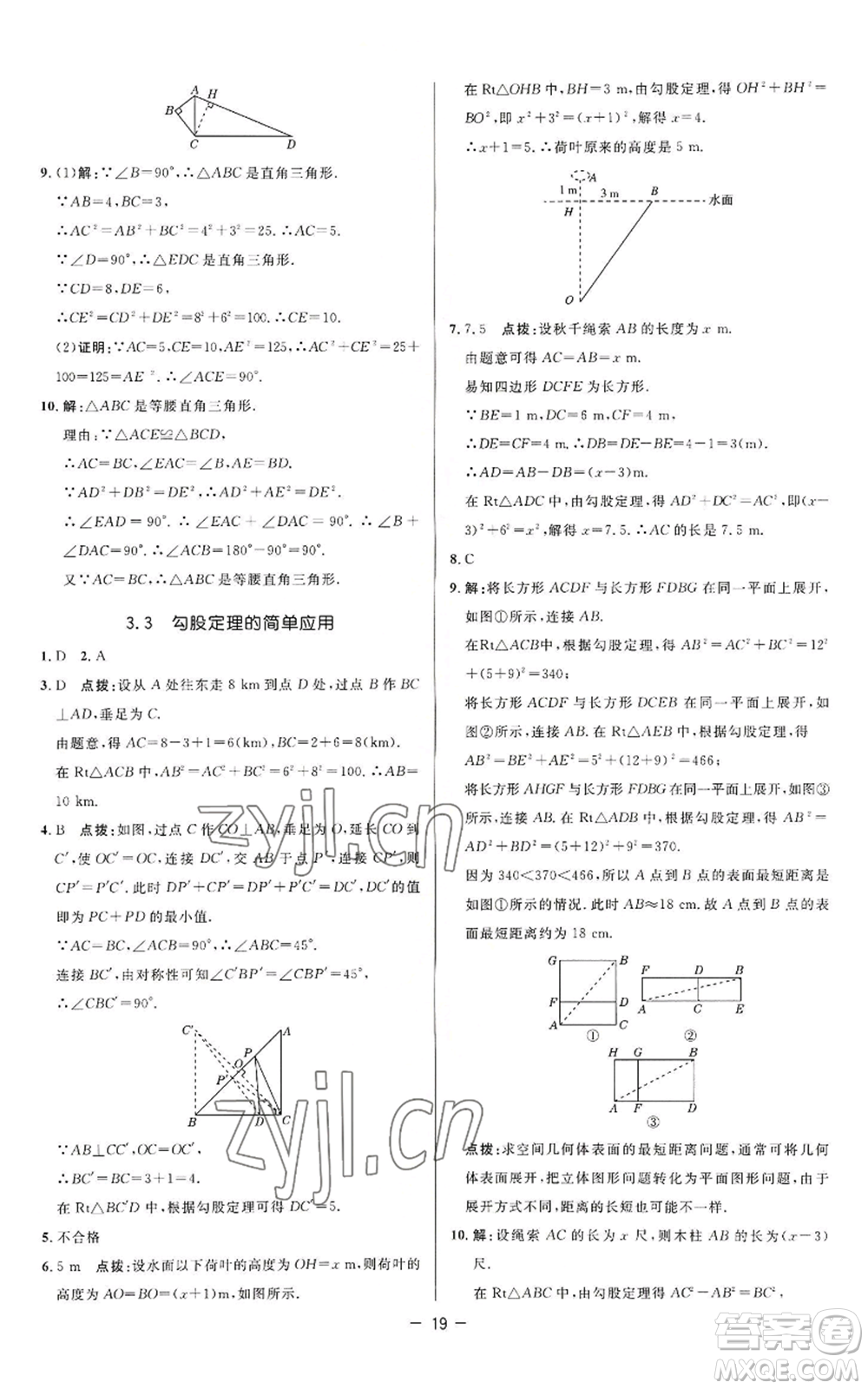 陜西人民教育出版社2022秋季綜合應用創(chuàng)新題典中點提分練習冊八年級上冊數(shù)學蘇科版參考答案