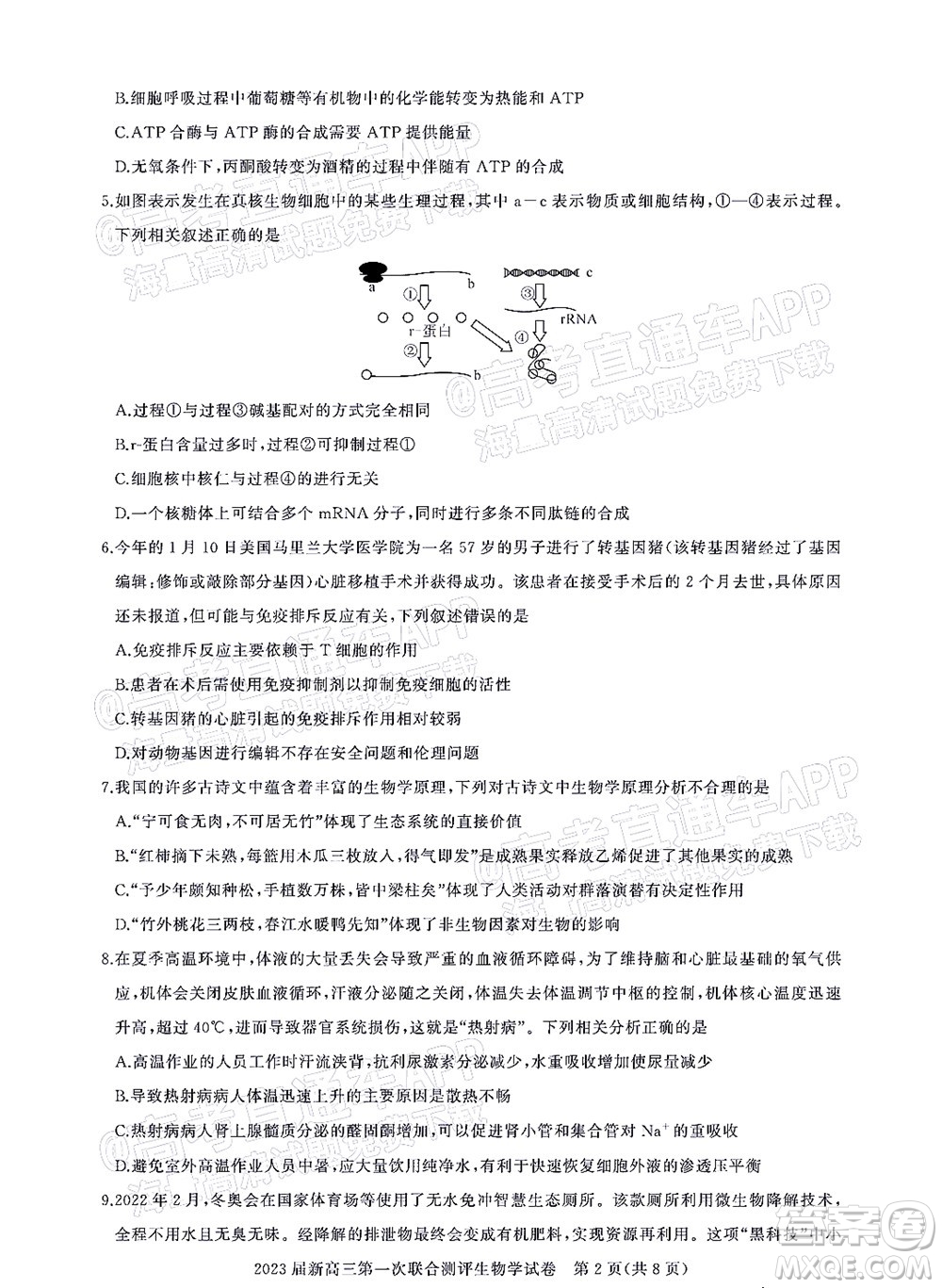 湖北省高中名校聯(lián)盟2023屆新高三第一次聯(lián)合測評生物學(xué)試題及答案