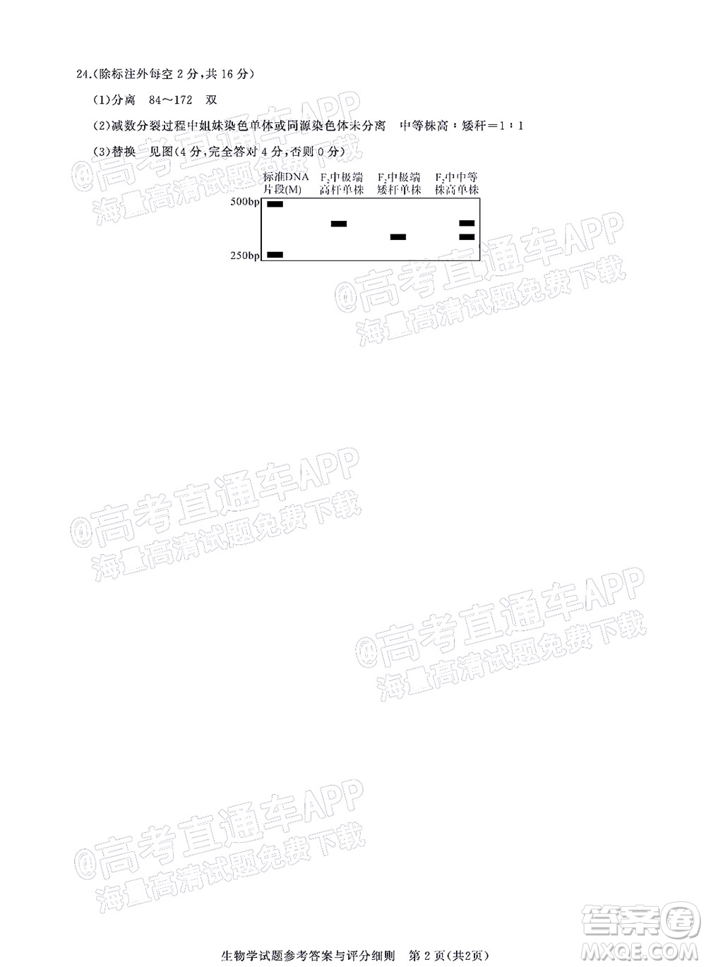 湖北省高中名校聯(lián)盟2023屆新高三第一次聯(lián)合測評生物學(xué)試題及答案