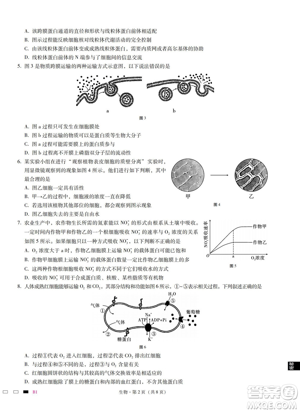 巴蜀中學(xué)2023屆高考適應(yīng)性月考卷一生物試題及答案