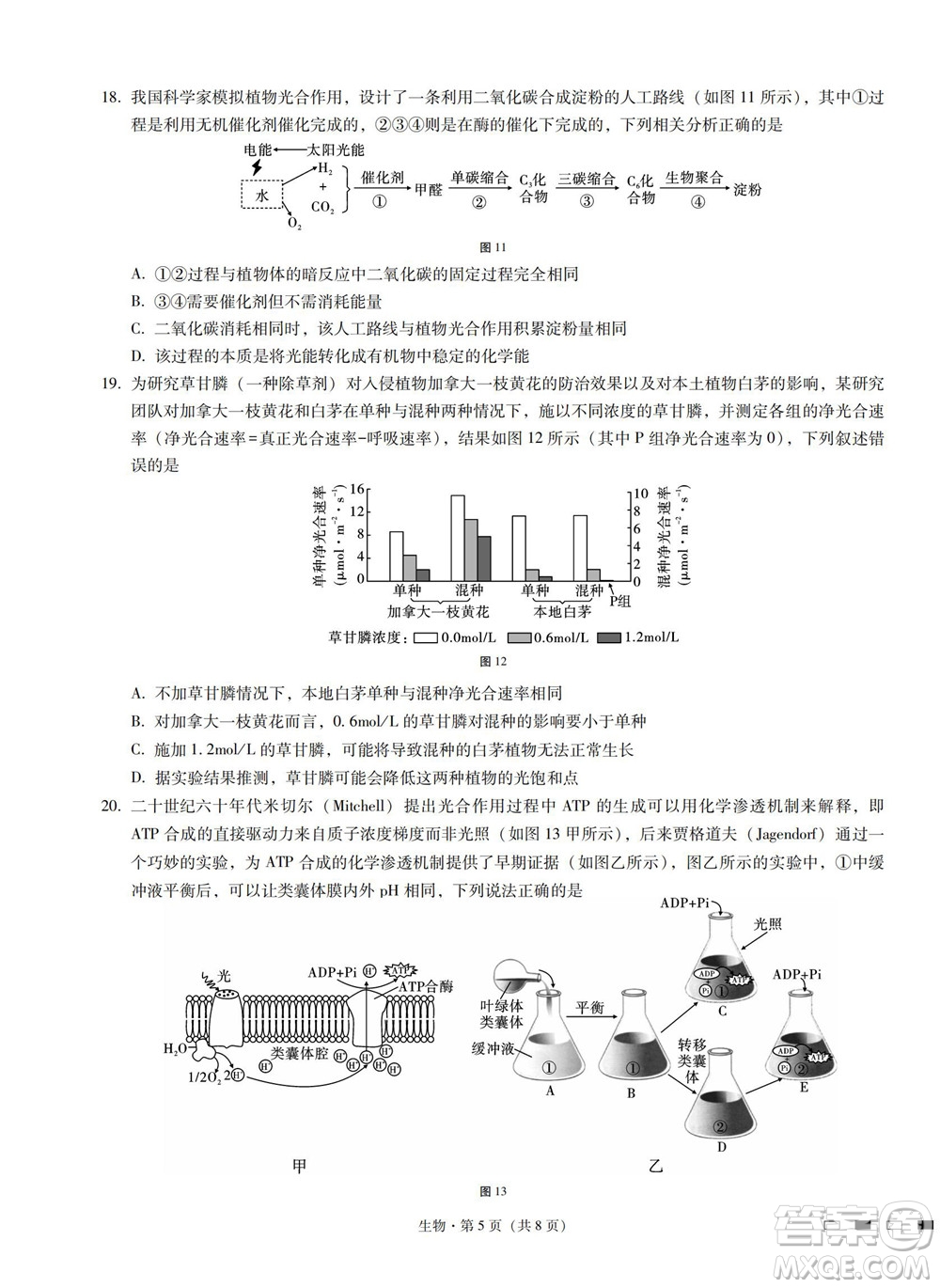 巴蜀中學(xué)2023屆高考適應(yīng)性月考卷一生物試題及答案