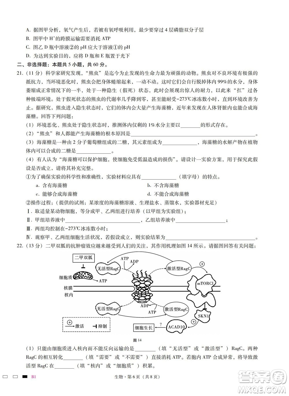 巴蜀中學(xué)2023屆高考適應(yīng)性月考卷一生物試題及答案