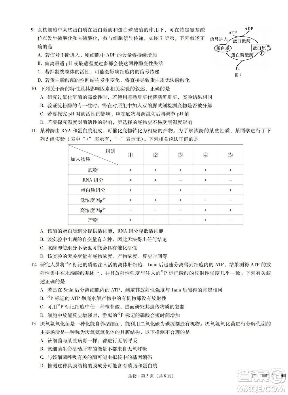 巴蜀中學(xué)2023屆高考適應(yīng)性月考卷一生物試題及答案