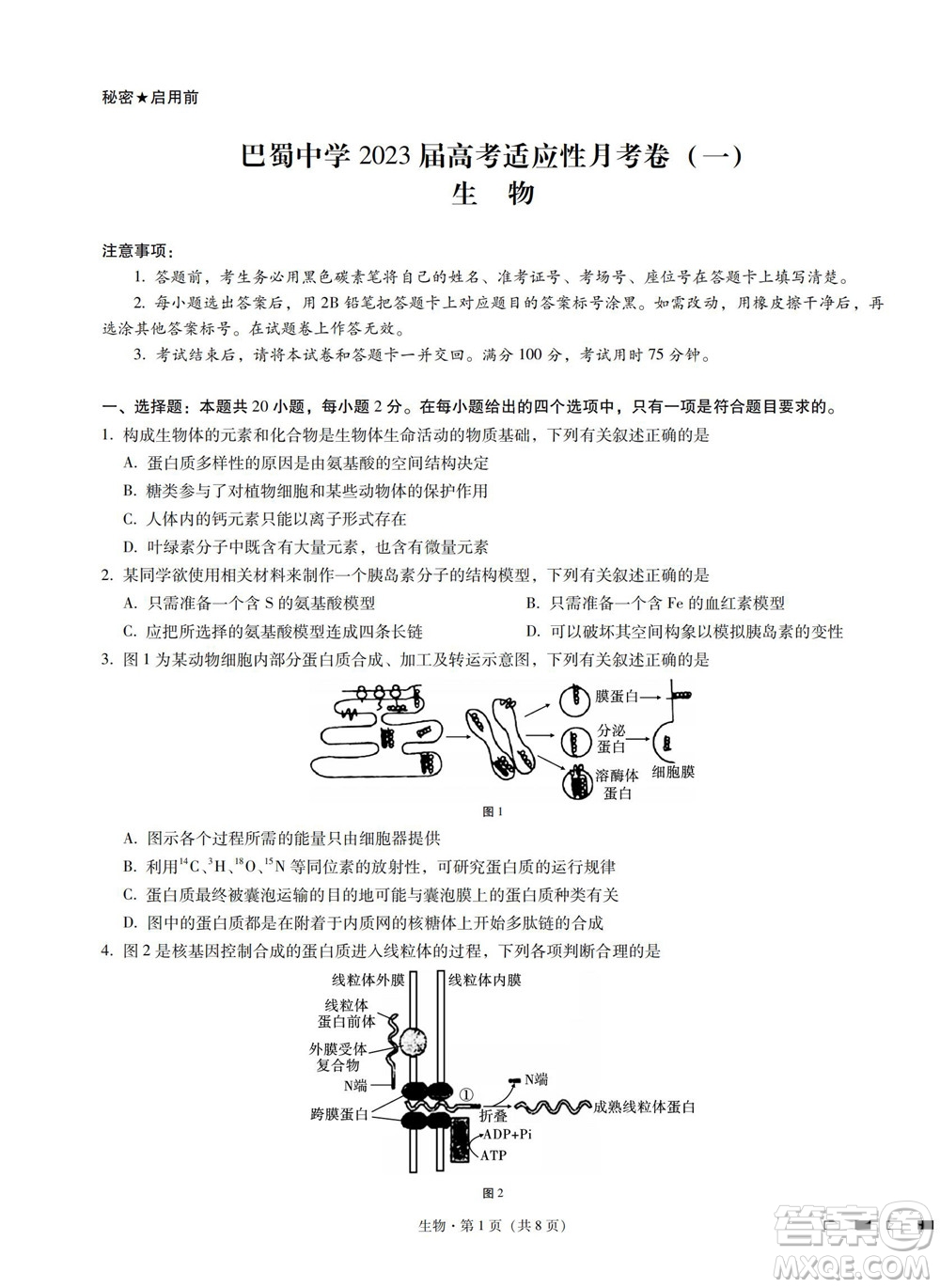 巴蜀中學(xué)2023屆高考適應(yīng)性月考卷一生物試題及答案