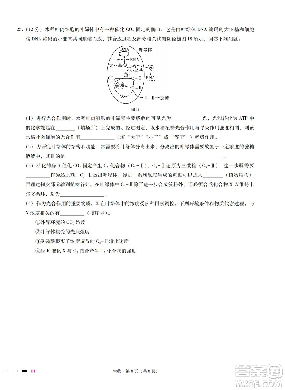 巴蜀中學(xué)2023屆高考適應(yīng)性月考卷一生物試題及答案