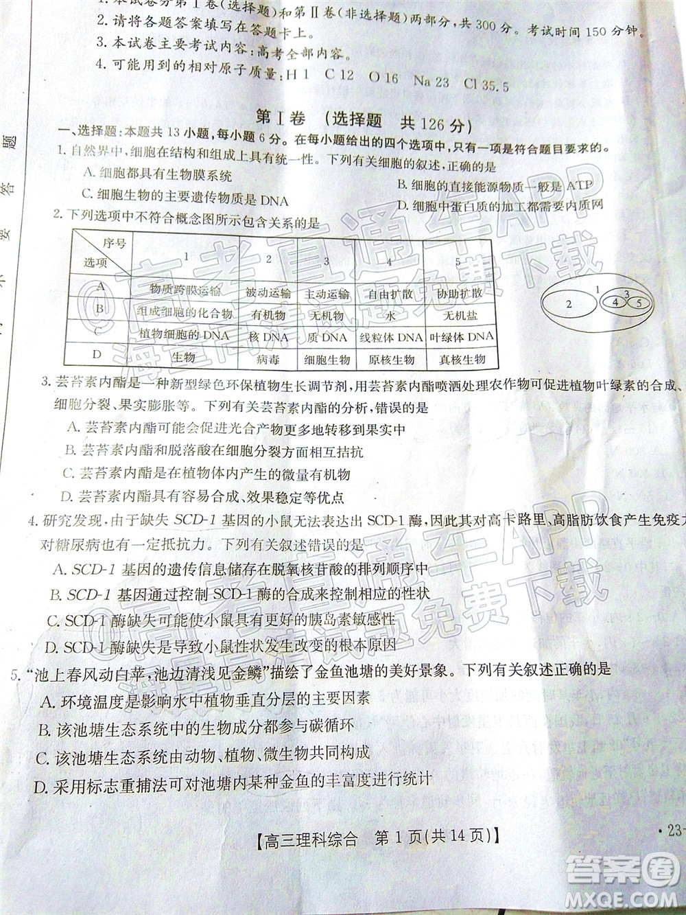 2023屆貴州省金太陽高三年級聯(lián)合考試?yán)砜凭C合試題及答案