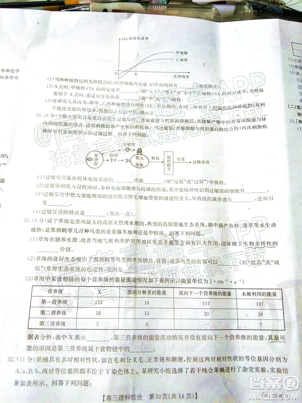 2023屆貴州省金太陽高三年級聯(lián)合考試?yán)砜凭C合試題及答案