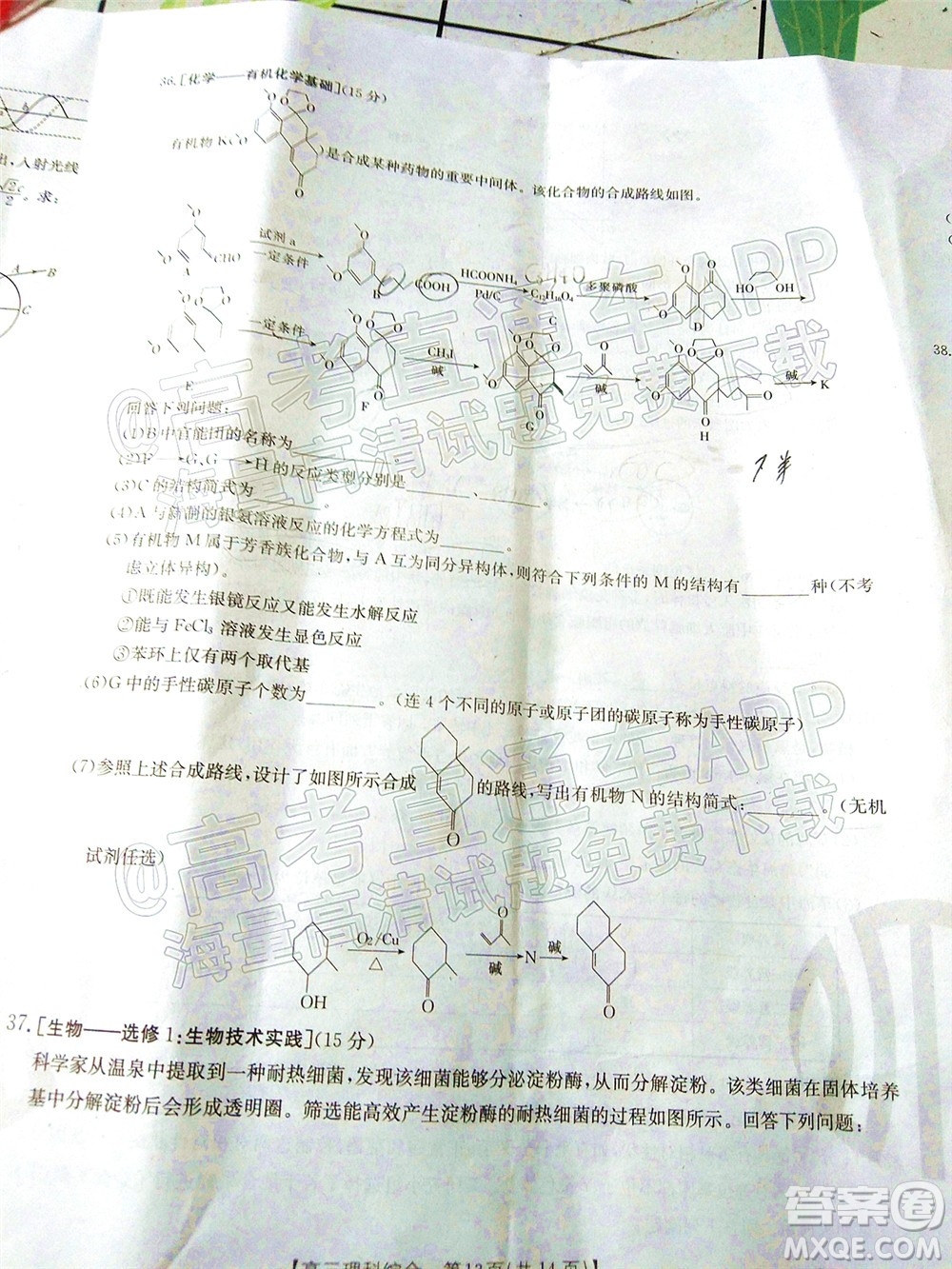 2023屆貴州省金太陽高三年級聯(lián)合考試?yán)砜凭C合試題及答案