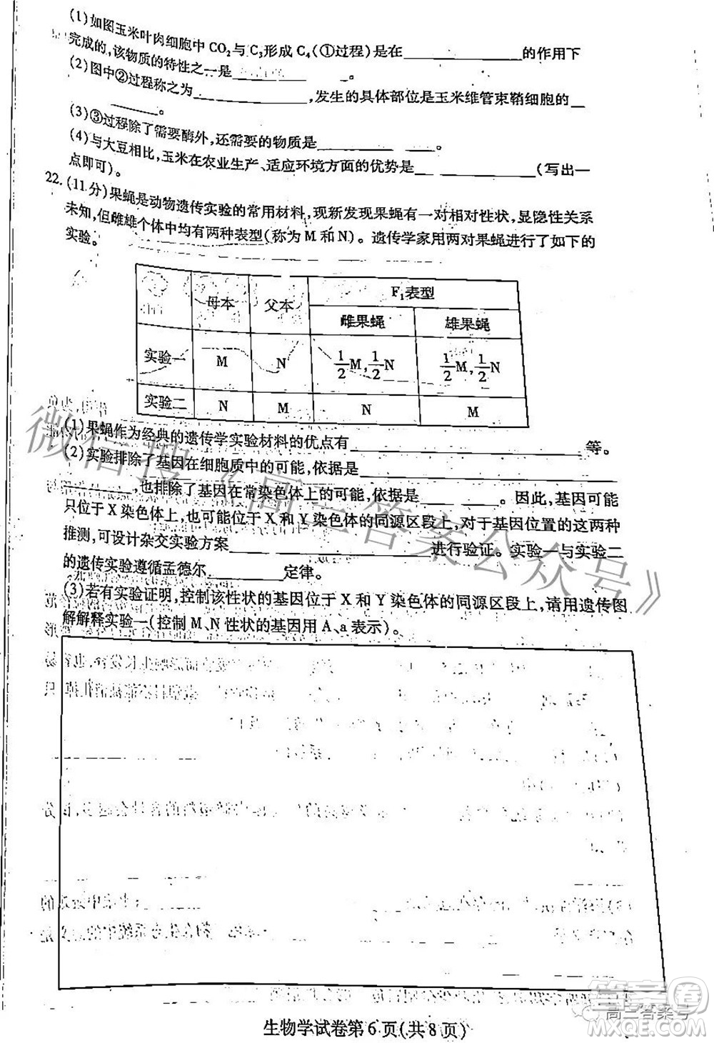 哈爾濱市2020級(jí)學(xué)業(yè)質(zhì)量檢測(cè)試題生物學(xué)試題及答案