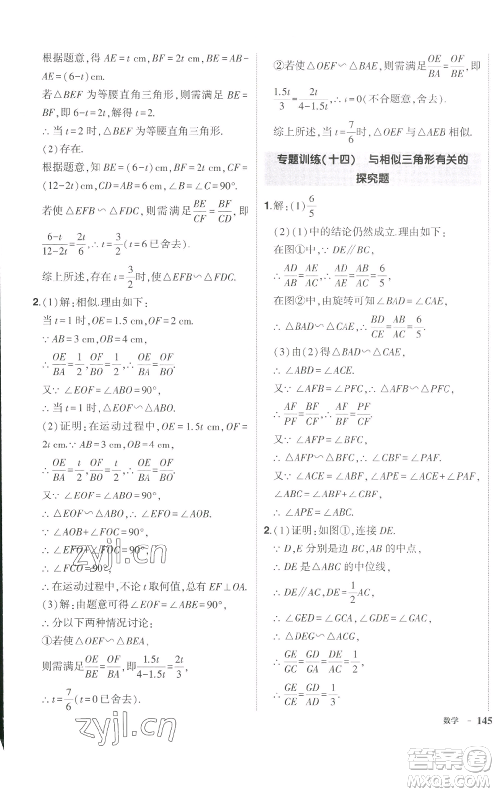 長江出版社2022秋季狀元成才路創(chuàng)優(yōu)作業(yè)九年級上冊數(shù)學(xué)北師大版參考答案