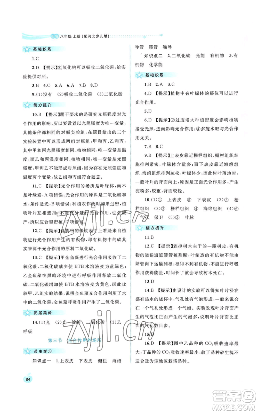 廣西教育出版社2022新課程學習與測評同步學習八年級上冊生物河北少兒版參考答案