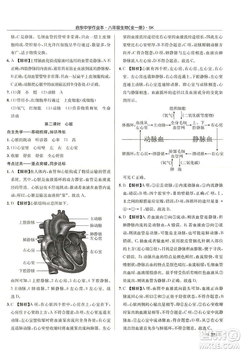 龍門書局2022啟東中學(xué)作業(yè)本八年級(jí)生物全一冊(cè)SK蘇科版答案