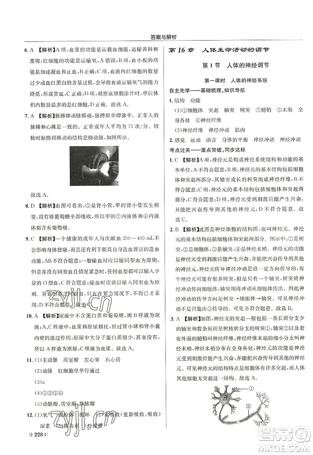 龍門書局2022啟東中學(xué)作業(yè)本八年級(jí)生物全一冊(cè)SK蘇科版答案