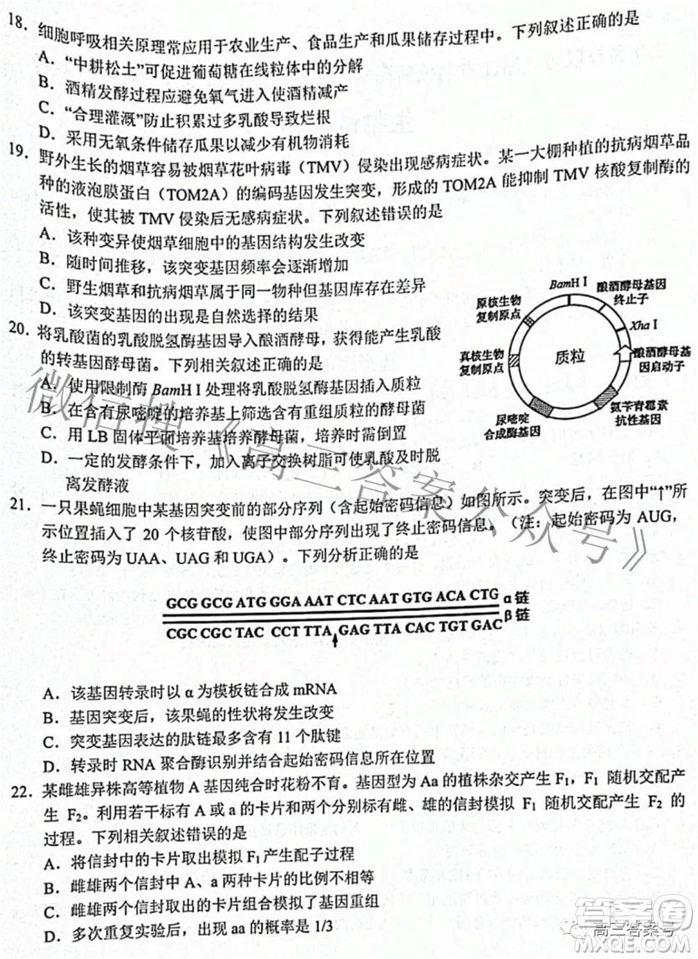 Z20名校聯(lián)盟浙江省名校新高考研究聯(lián)盟2023屆高三第一次聯(lián)考生物試題卷及答案