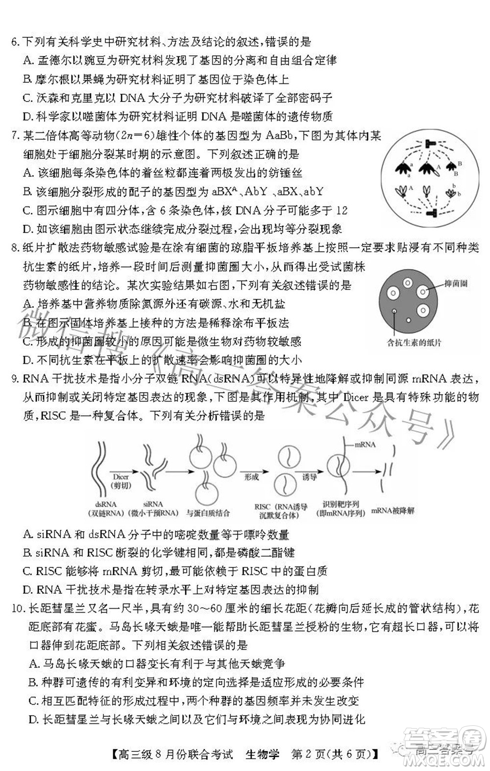 清中河中北中惠中2023屆高三級8月份聯(lián)合考試生物學(xué)試題及答案