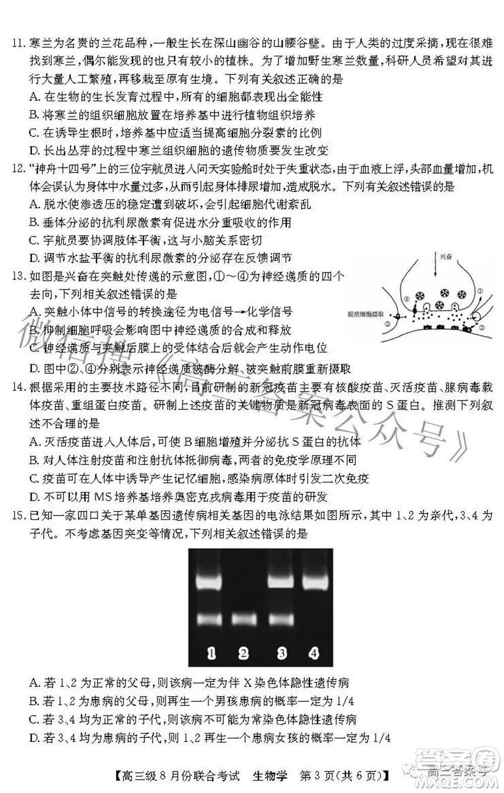 清中河中北中惠中2023屆高三級8月份聯(lián)合考試生物學(xué)試題及答案