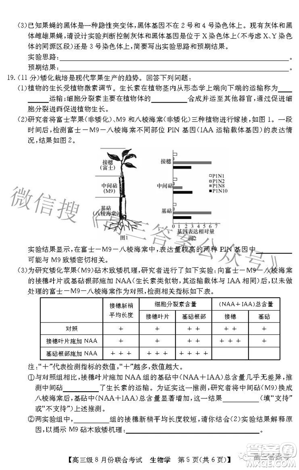 清中河中北中惠中2023屆高三級8月份聯(lián)合考試生物學(xué)試題及答案