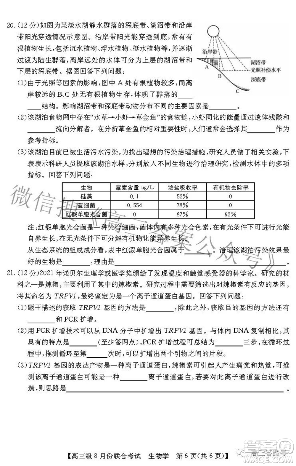 清中河中北中惠中2023屆高三級8月份聯(lián)合考試生物學(xué)試題及答案