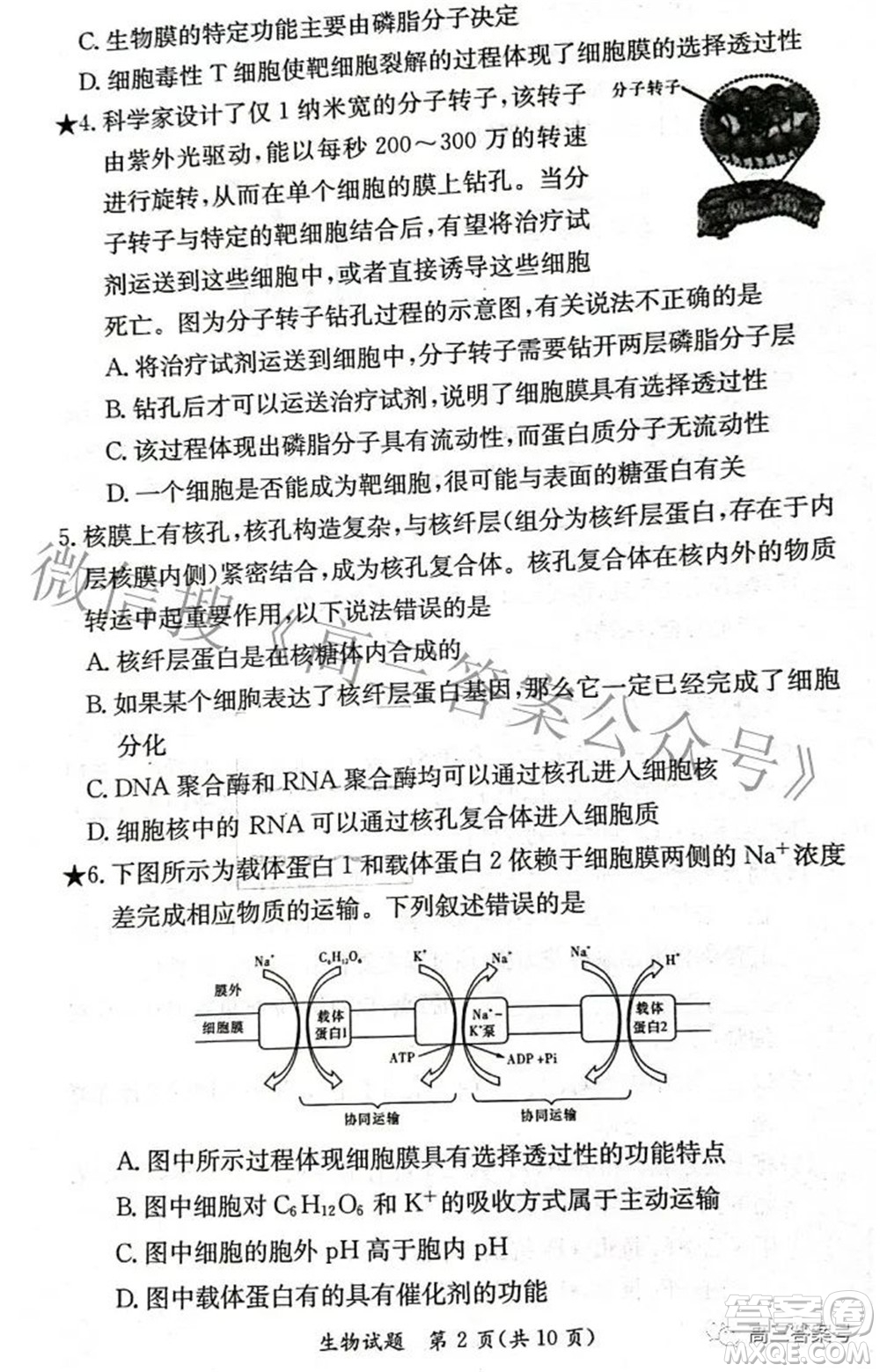 炎德英才大聯(lián)考2022年秋高三入學(xué)檢測(cè)生物試題及答案