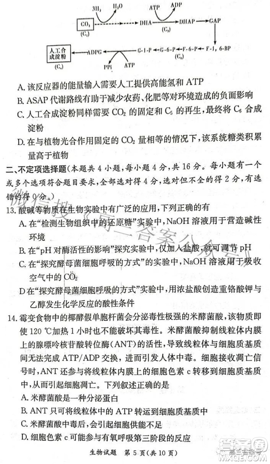 炎德英才大聯(lián)考2022年秋高三入學(xué)檢測(cè)生物試題及答案