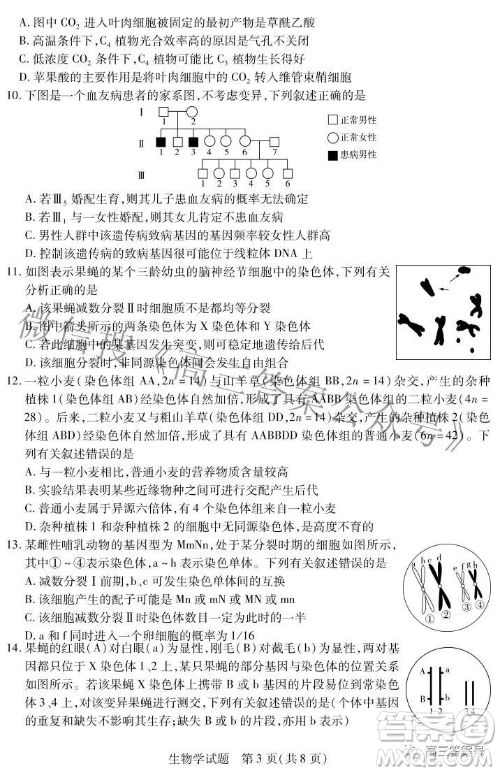 天一大聯(lián)考2022-2023學年上安徽卓越縣中聯(lián)盟高三年級開學考生物學試題及答案