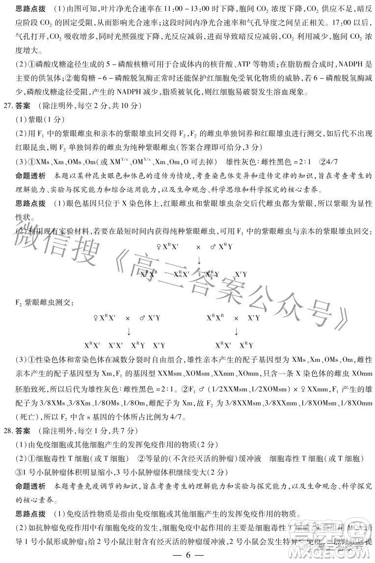 天一大聯(lián)考2022-2023學年上安徽卓越縣中聯(lián)盟高三年級開學考生物學試題及答案